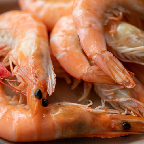 SEAFOOD GEMS