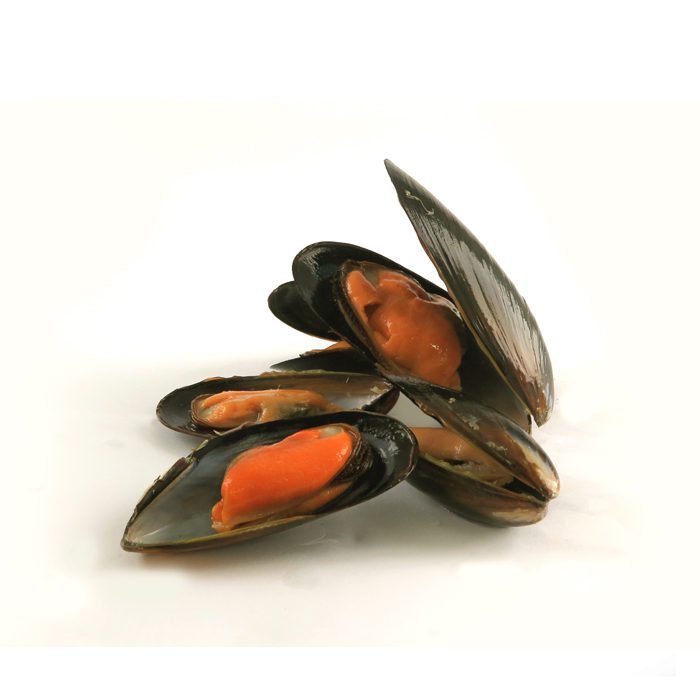 Frozen Blue Mussel Whole 50/70 | 1kg