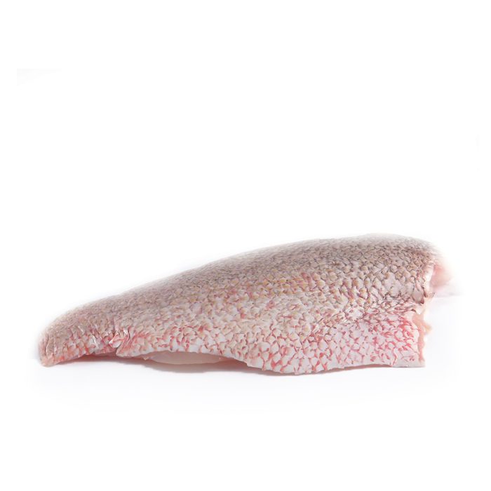 Frozen Red Snapper Fillet 100-300g